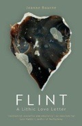 Cover: Flint - Eye