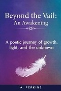 Cover: Beyond the Vail - Avoy LLC