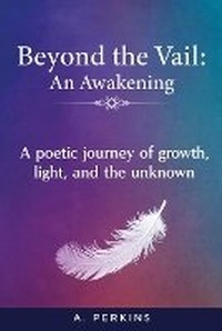 Enlarge image Cover: Beyond the Vail - Avoy LLC