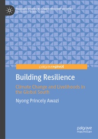 Abbildung von: Building Resilience - Palgrave Macmillan