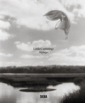 Cover: Slippages - Skira
