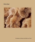 Cover: Chris Soal - Skira