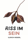 Cover: Riss im Sein - BoD - Books on Demand