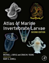 Abbildung von: Atlas of Marine Invertebrate Larvae - Elsevier Reference Monographs