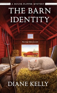 Enlarge image Cover: The Barn Identity - Minotaur Books,US
