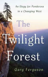 Enlarge image Cover: The Twilight Forest - Island Press