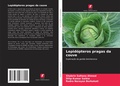 Cover: Lepidopteros pragas da couve - Edi&ccedil;&otilde;es Nosso Conhecimento