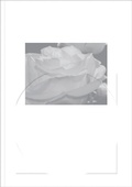 Cover: Word Is Round - Mousse Publishing