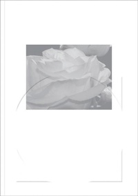 Enlarge image Cover: Word Is Round - Mousse Publishing