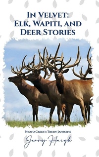Enlarge image Cover: In Velvet - Amazon Direct Publishing