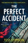 Cover: The Perfect Accident - Mountain Leopard Press