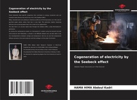 Abbildung von: Cogeneration of electricity by the Seebeck effect - Our Knowledge Publishing