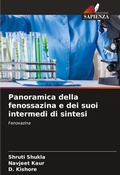Cover: Panoramica della fenossazina e dei suoi intermedi di sintesi - Edizioni Sapienza
