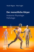 Cover: Der menschliche K&ouml;rper - Urban & Fischer