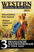 Cover: Western Dreierband 3072 - Uksak E-Books