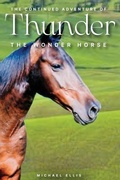 Cover: The Continued Adventures of Thunder - Michael Ellis