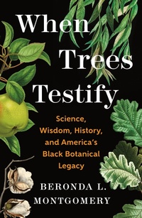 Enlarge image Cover: When Trees Testify - Henry Holt and Co.