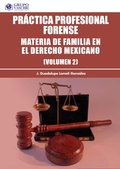 Cover: Pr&aacute;ctica profesional forense, Volumen 2 - Grupo Vanchri