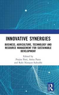 Enlarge image Cover: Innovative Synergies - Routledge