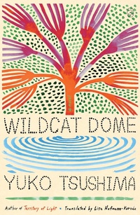 Abbildung von: Wildcat Dome - St Martin's Press