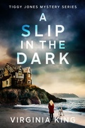 Cover: A Slip in the Dark - Celestial Hedgehog