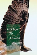 Cover: 10 Days to Greater Agility - Daniel Scheufler