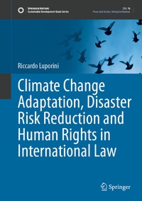 Abbildung von: Climate Change Adaptation, Disaster Risk Reduction and Human Rights in International Law - Springer