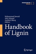 Cover: Handbook of Lignin - Springer Nature Switzerland AG