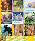 Cover: Baby Animals in the Wild - Chronicle Books LLC