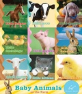 Cover: Baby Animals on the Farm - Chronicle Books LLC