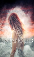 Cover: Entangled - In The Air Publishing