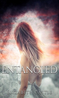 Enlarge image Cover: Entangled - In The Air Publishing