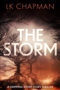 Cover: The Storm - LK Chapman