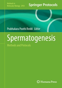 Abbildung von: Spermatogenesis - Humana