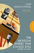Cover: The Meadow Where Time Stands Still - Pushkin Press Classics