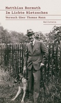 Cover: Im Lichte Nietzsches - Wallstein