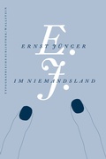 Cover: im Niemandsland - Wallstein