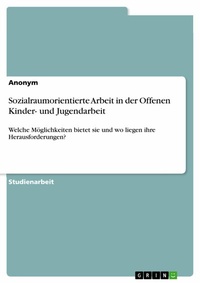 Abbildung von: Sozialraumorientierte Arbeit in der Offenen Kinder- und Jugendarbeit - GRIN Verlag