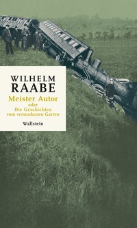 Abbildung von: Meister Autor - Wallstein