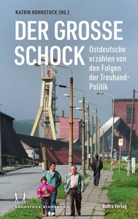 Abbildung von: Der große Schock - bebra verlag