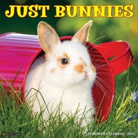 Abbildung von: Bunnies 2026 12 X 12 Wall Calendar - Willow Creek Press Calendars