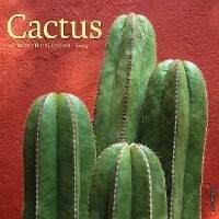Abbildung von: Cactus 2026 12 X 12 Wall Calendar - Willow Creek Press Calendars