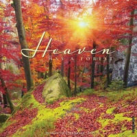 Abbildung von: Heaven Has a Forest 2026 12 X 12 Wall Calendar - Willow Creek Press Calendars