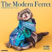 Abbildung von: Modern Ferret (The) 2026 12 X 12 Wall Calendar - Willow Creek Press Calendars