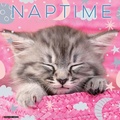 Cover: Naptime: A Cat's Favorite Pastime 2026 Wall Calendar - Wlcp