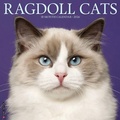 Cover: Ragdoll Cats 2026 Wall Calendar - Wlcp