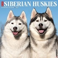 Cover: Siberian Huskies 2026 Wall Calendar - Wlcp