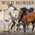 Cover: Wild Horses 2026 Wall Calendar - Wlcp