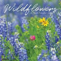 Abbildung von: Wildflowers 2026 12 X 12 Wall Calendar - Willow Creek Press Calendars