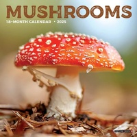 Abbildung von: Mushrooms 2026 7 X 7 Mini Wall Calendar - Willow Creek Press Calendars